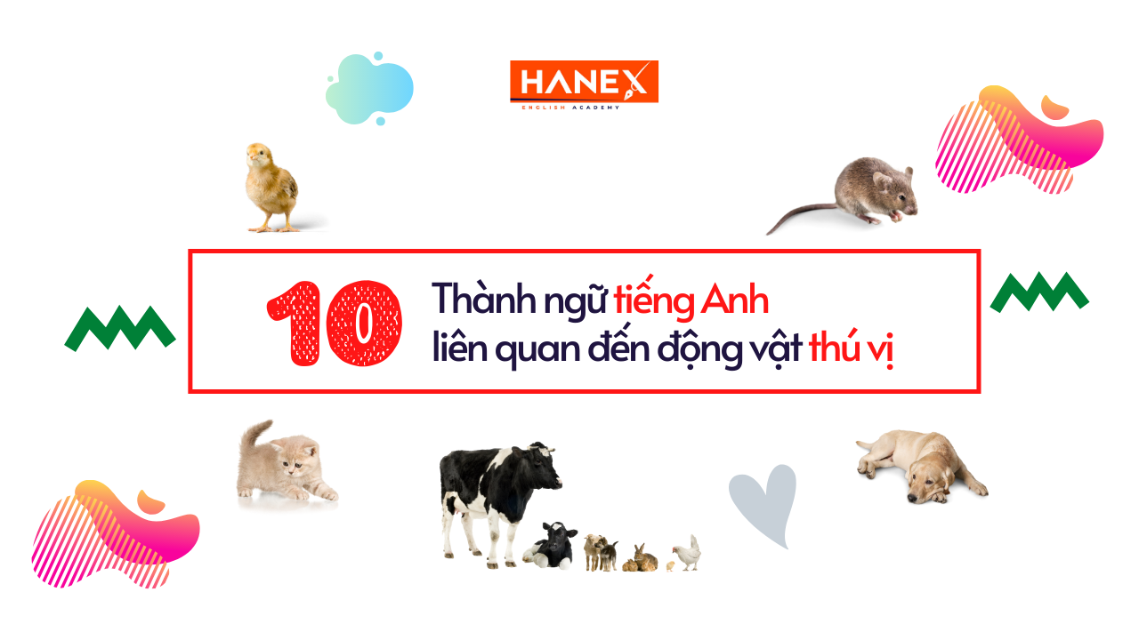 10 Thanh Ngu Animal